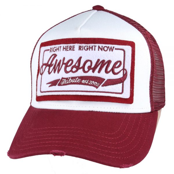 Carbon212 Right Here Right Now Awesome Trucker Caps